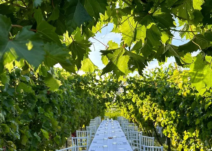 Agriturismo Oasi Biologica
